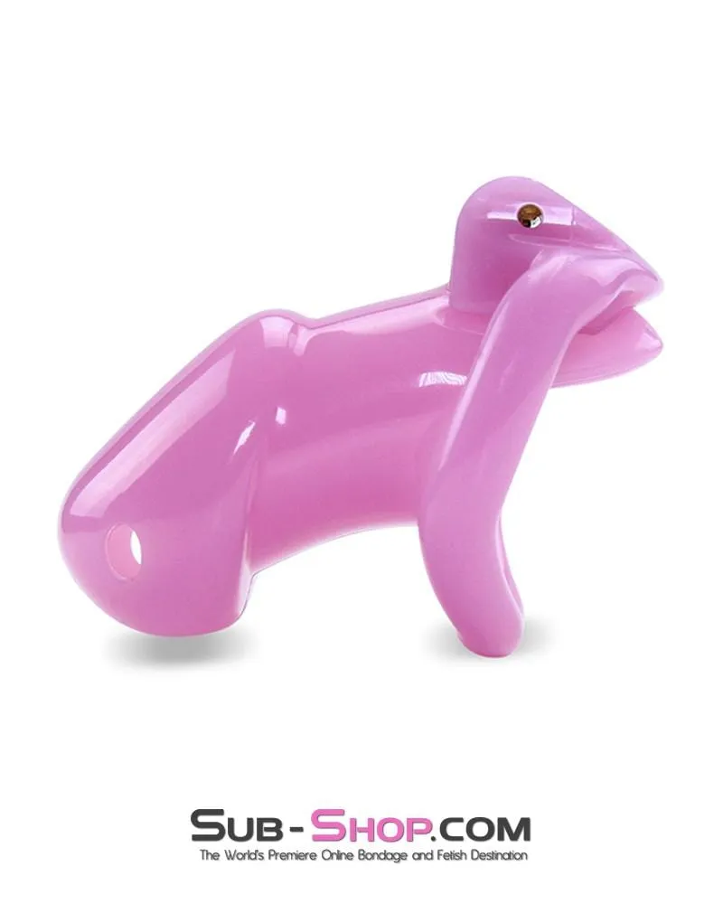 0396AE      Sissy Bitch High Security Keyed Tumbler Locking Male Chastity with 4 Base Cock Ring Sizes - MEGA Deal