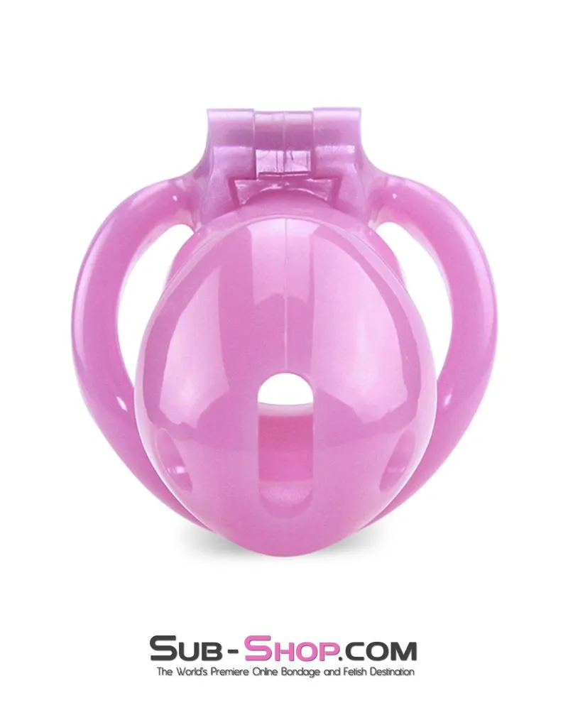 0396AE      Sissy Bitch High Security Keyed Tumbler Locking Male Chastity with 4 Base Cock Ring Sizes - MEGA Deal