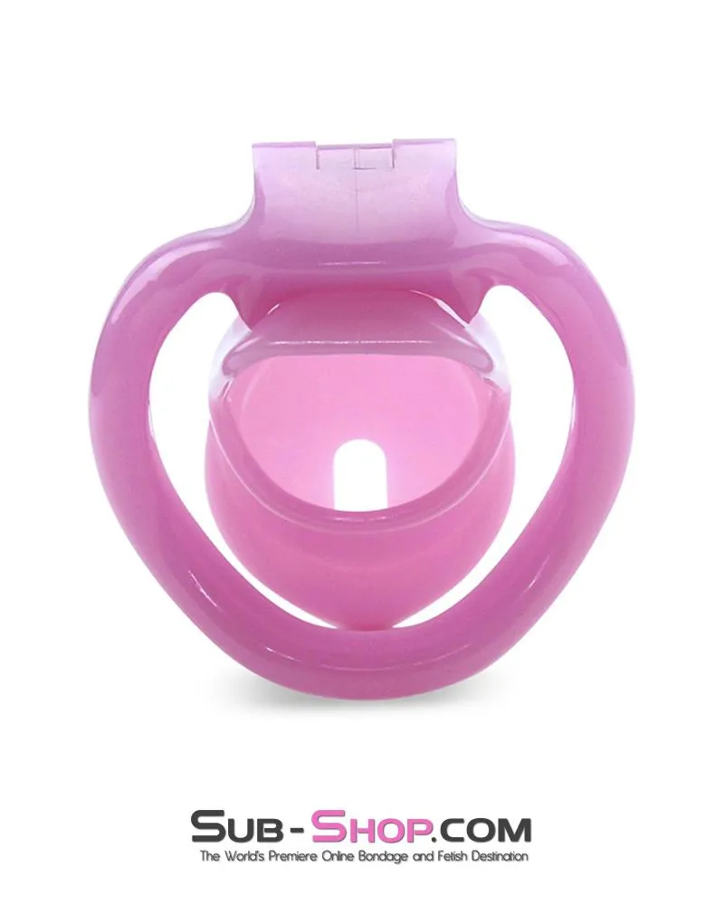 0396AE      Sissy Bitch High Security Keyed Tumbler Locking Male Chastity with 4 Base Cock Ring Sizes - MEGA Deal