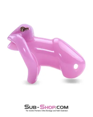 0396AE      Sissy Bitch High Security Keyed Tumbler Locking Male Chastity with 4 Base Cock Ring Sizes - MEGA Deal