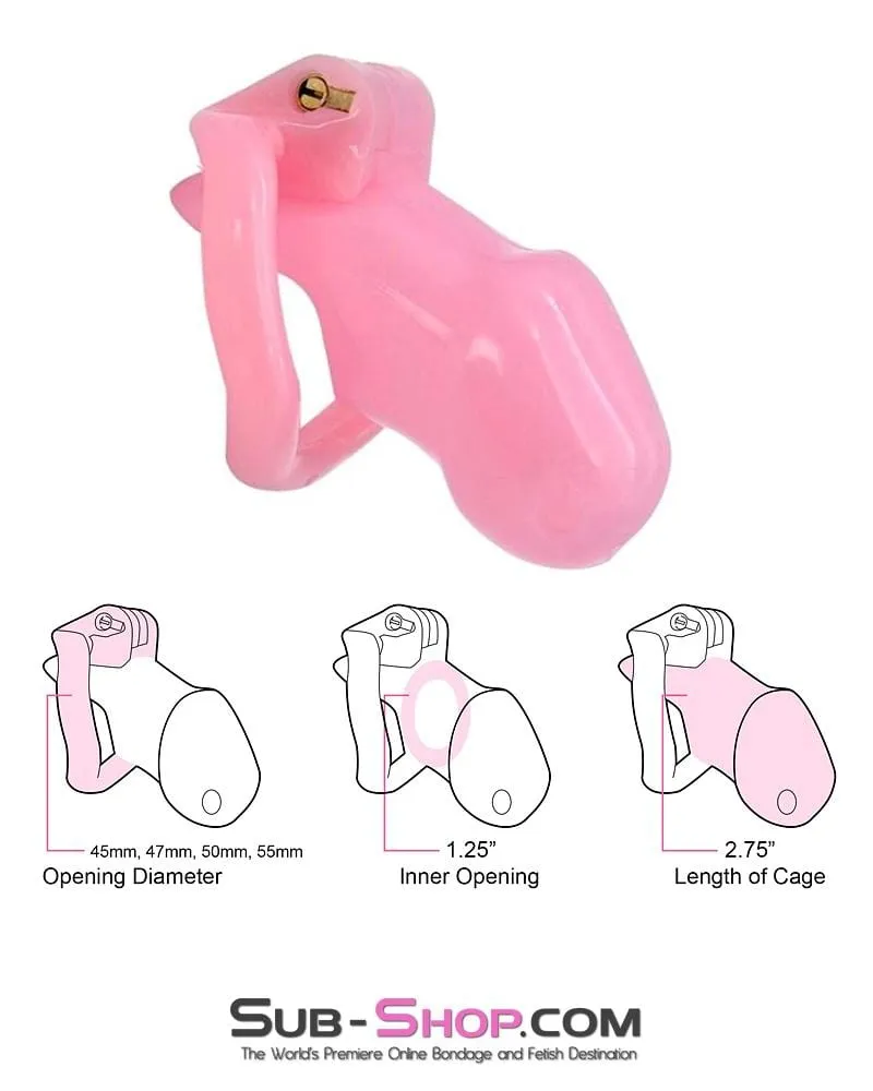 0396AE      Sissy Bitch High Security Keyed Tumbler Locking Male Chastity with 4 Base Cock Ring Sizes - MEGA Deal