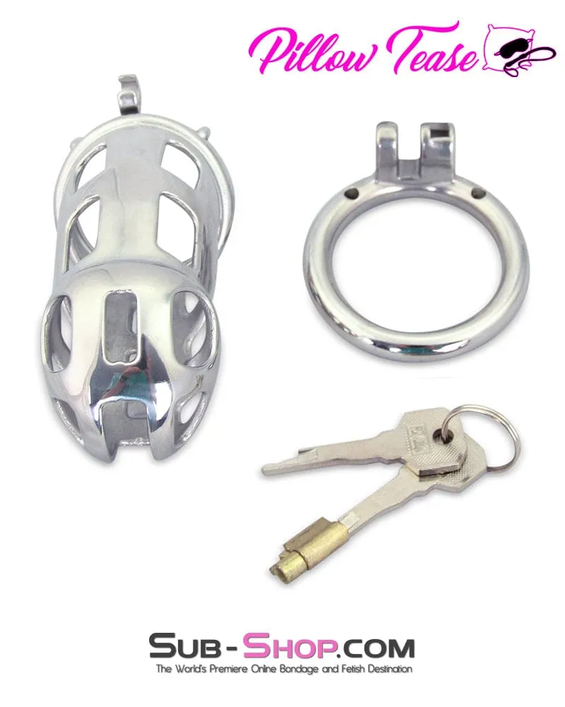 0718AR      Rock Hard Locking Steel Male Teasing Chastity Cage