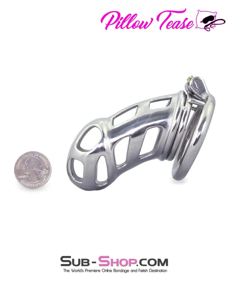 0718AR      Rock Hard Locking Steel Male Teasing Chastity Cage