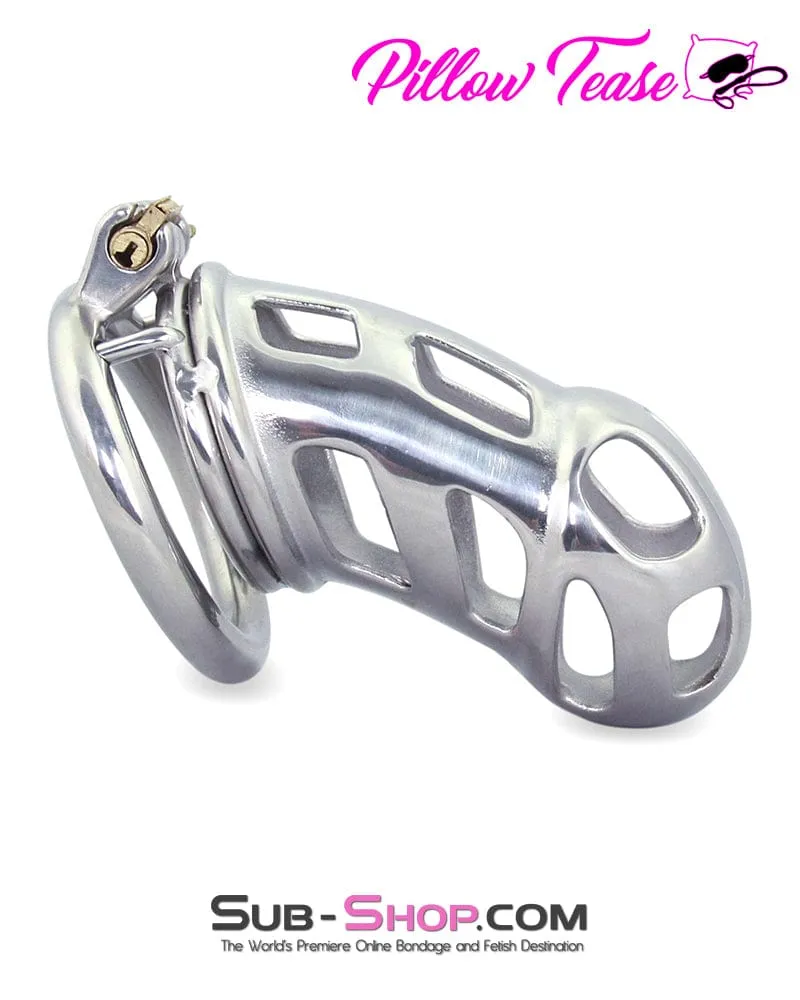 0718AR      Rock Hard Locking Steel Male Teasing Chastity Cage