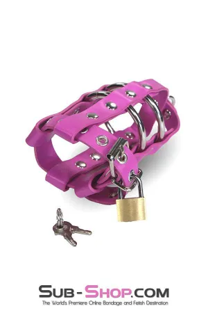 1461DL-SIS      Sissy Bitch Boi's Locking Leatherette Cock & Balls Cage with Lead Ring Tip