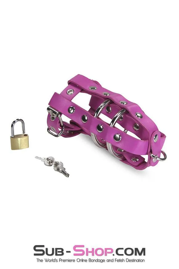 1461DL-SIS      Sissy Bitch Boi's Locking Leatherette Cock & Balls Cage with Lead Ring Tip