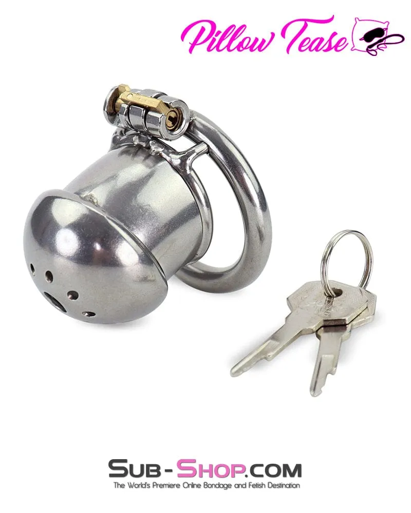 1875AR-SIS      Sissy Cock Torment Locking Steel Chastity Cock Cage