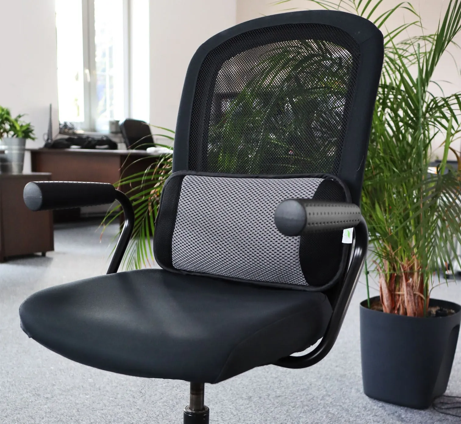 AS45 Back Support Cushion *CLEARANCE*