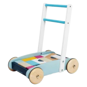 Baby Walker with Bricks