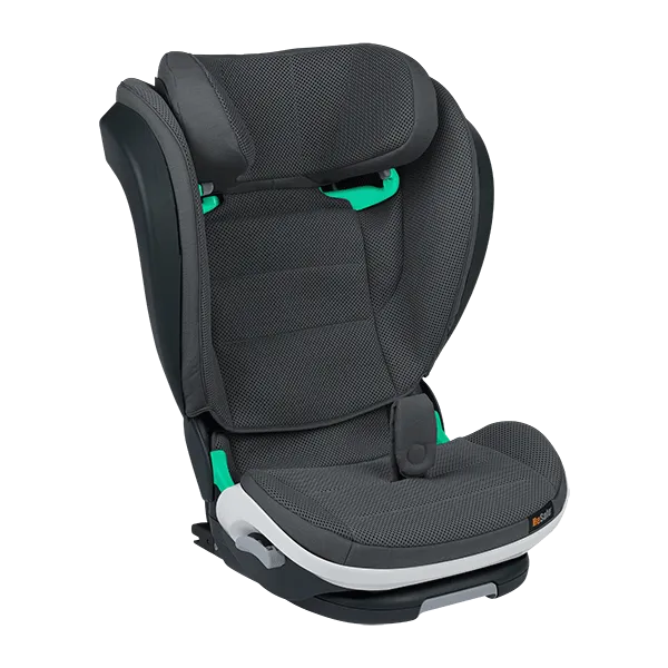 BeSafe iZi Flex FIX 2