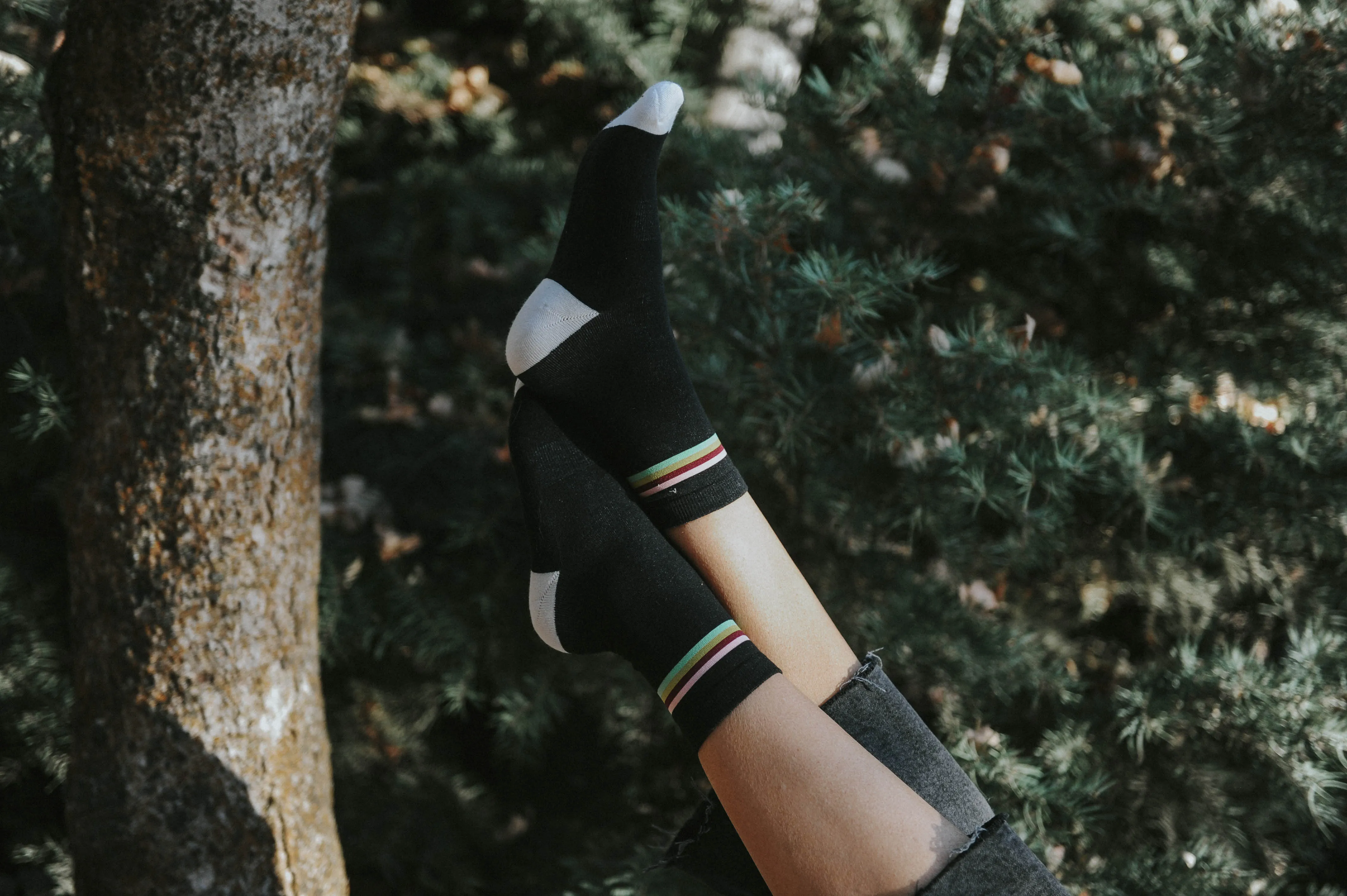 Blackberry Retro Stripe Crew