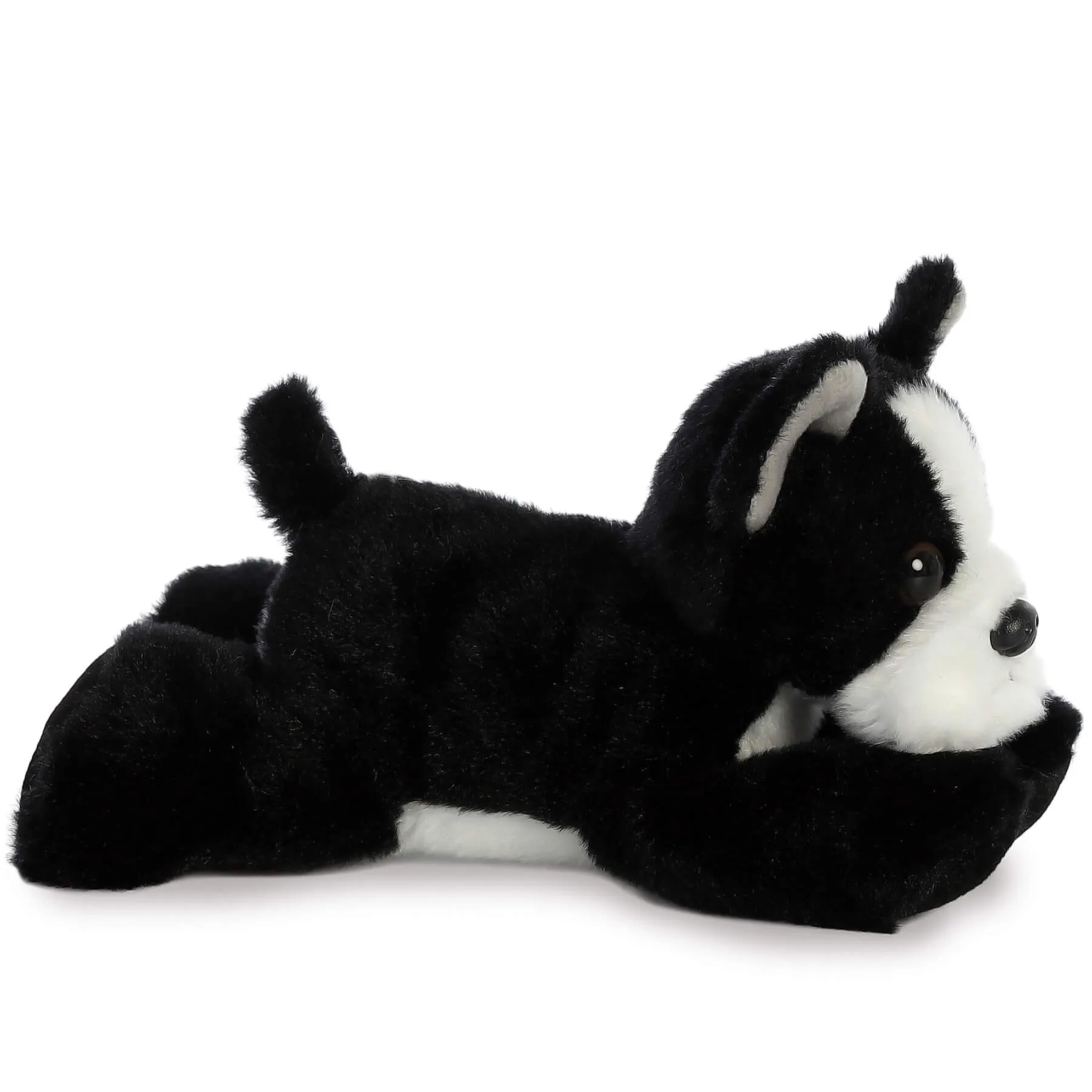 Boston Terrier Puppy Dog 8"