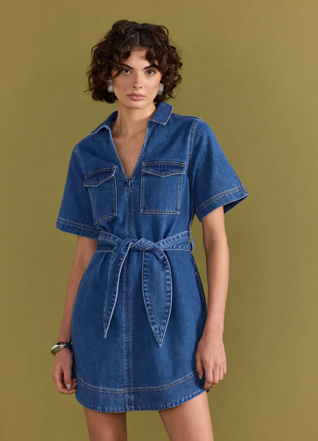 Brooks Denim Dress