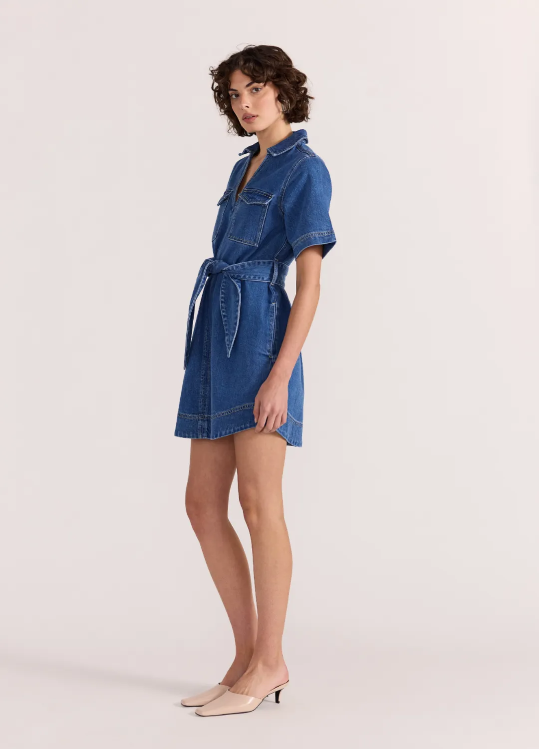 Brooks Denim Dress