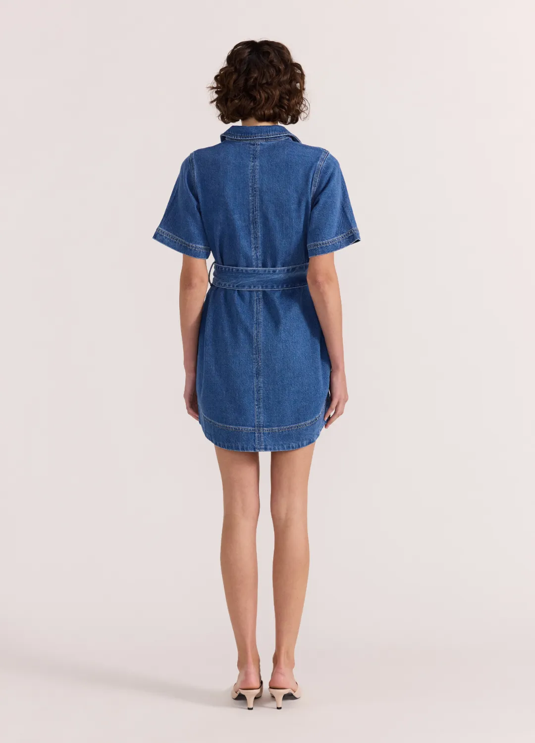 Brooks Denim Dress