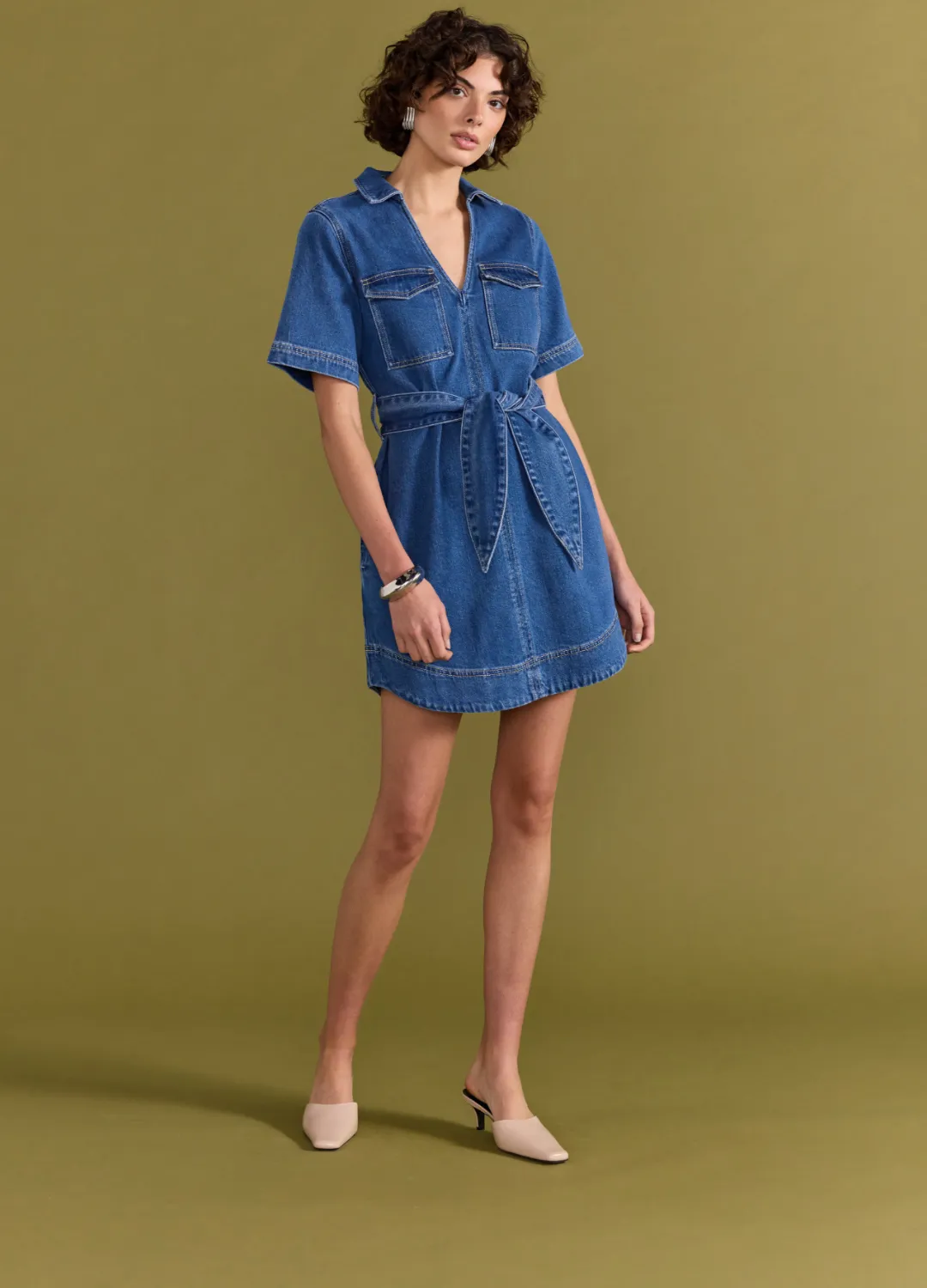 Brooks Denim Dress