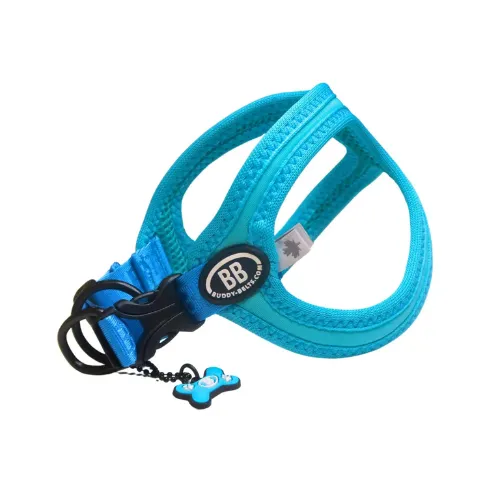 Buddy Belt Sport — Kingfisher