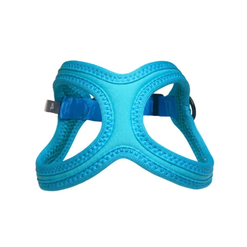 Buddy Belt Sport — Kingfisher