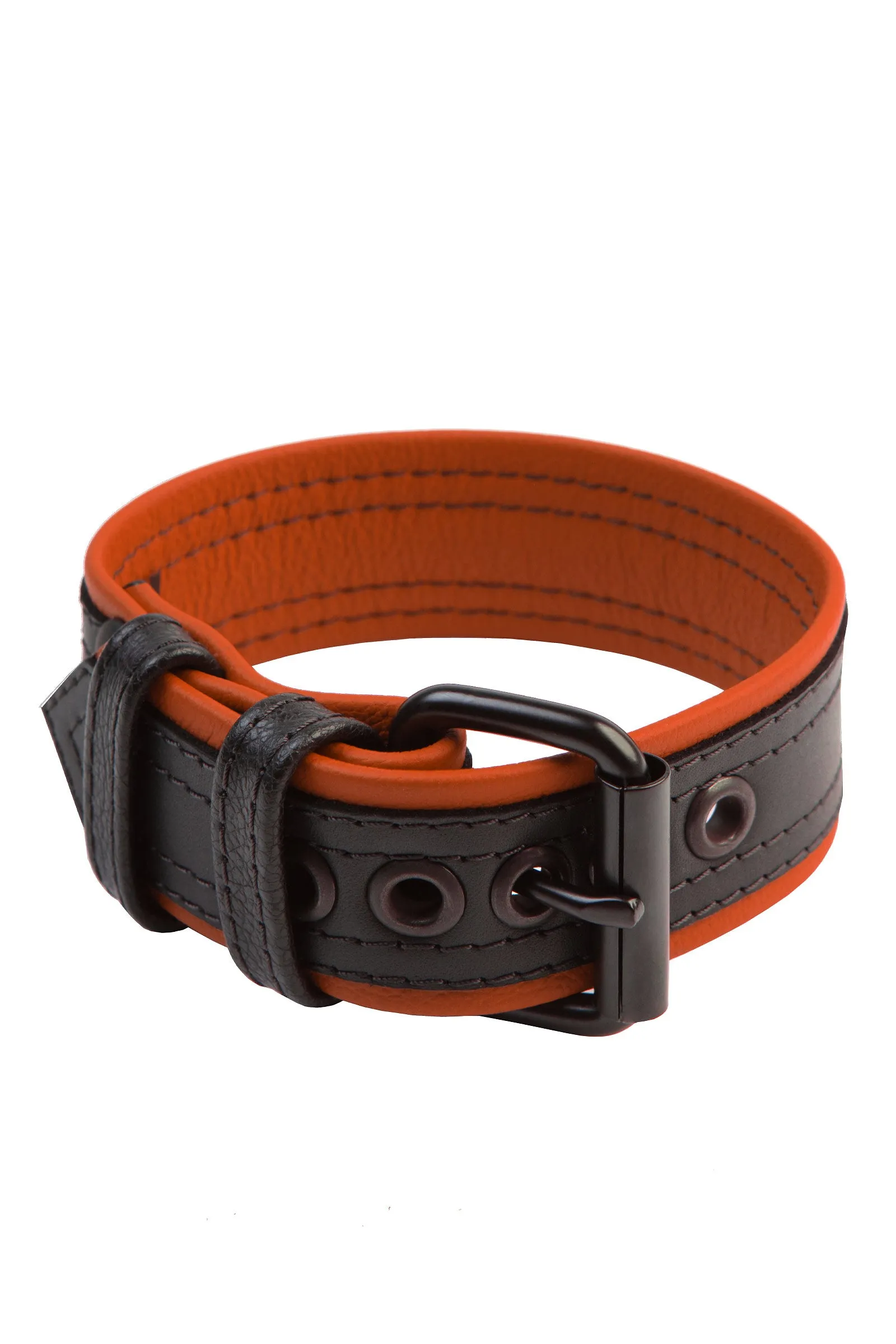 COMBAT ARMBELT - Colour