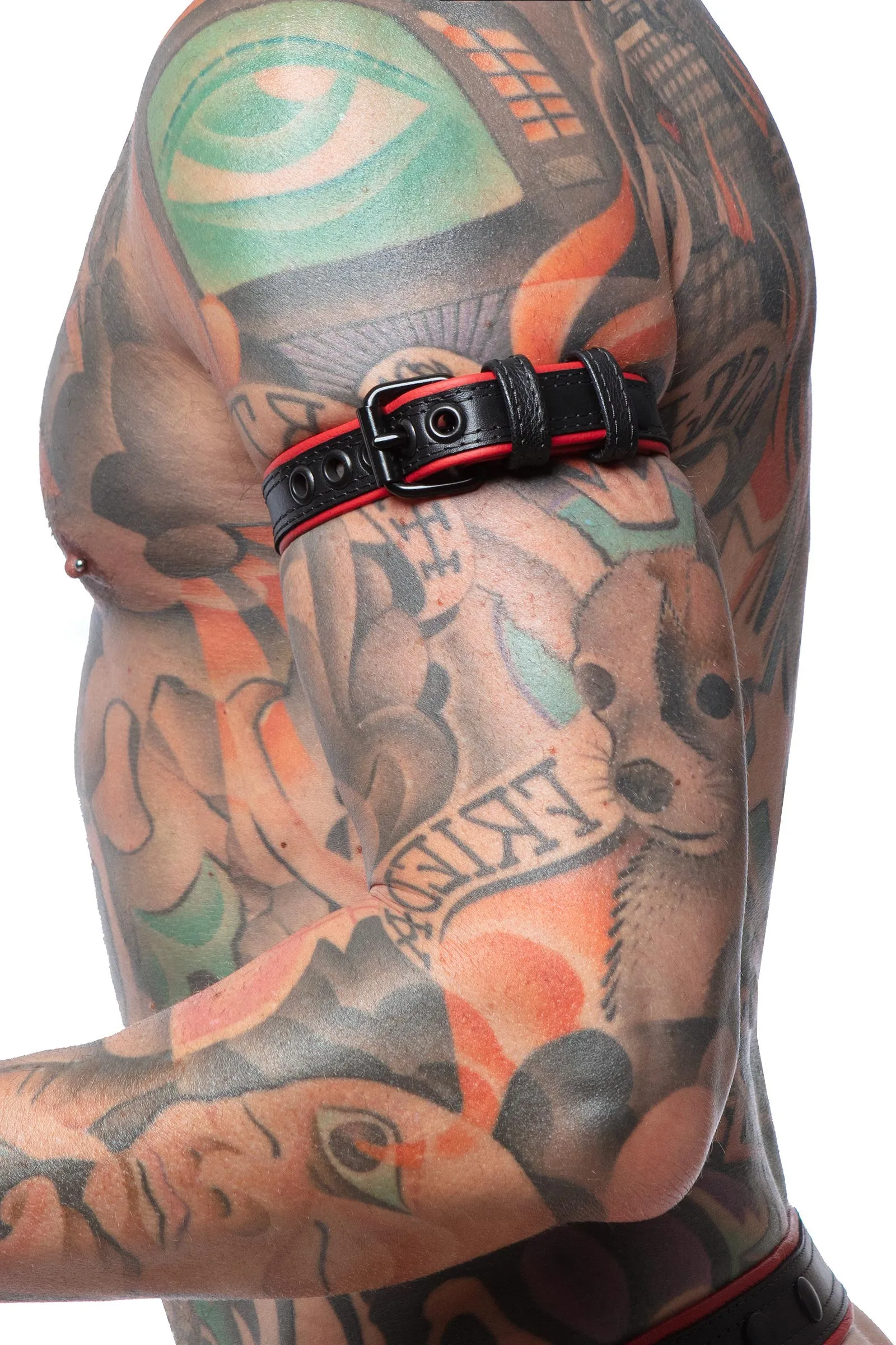 COMBAT ARMBELT NARROW - Colour