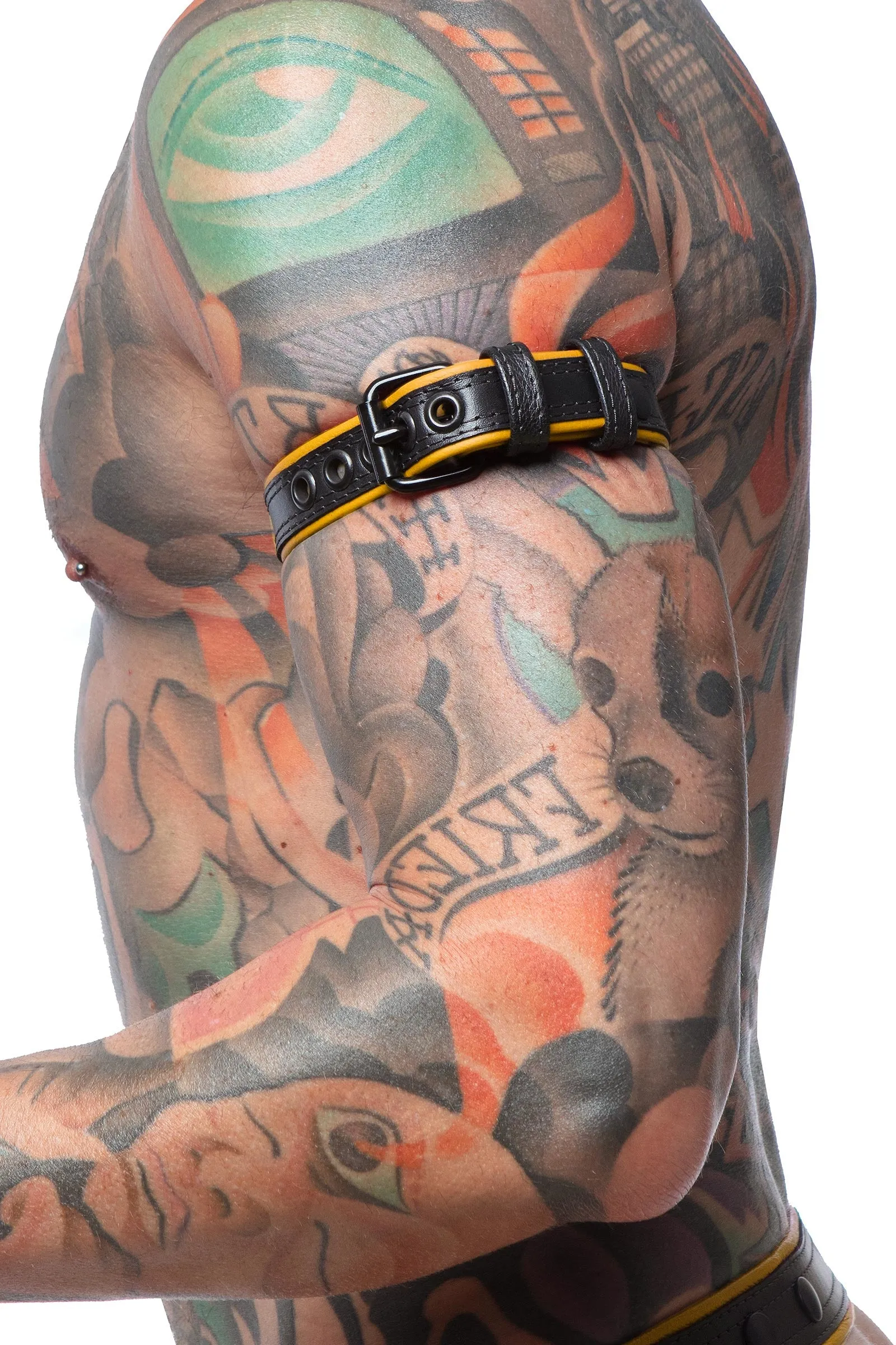 COMBAT ARMBELT NARROW - Colour