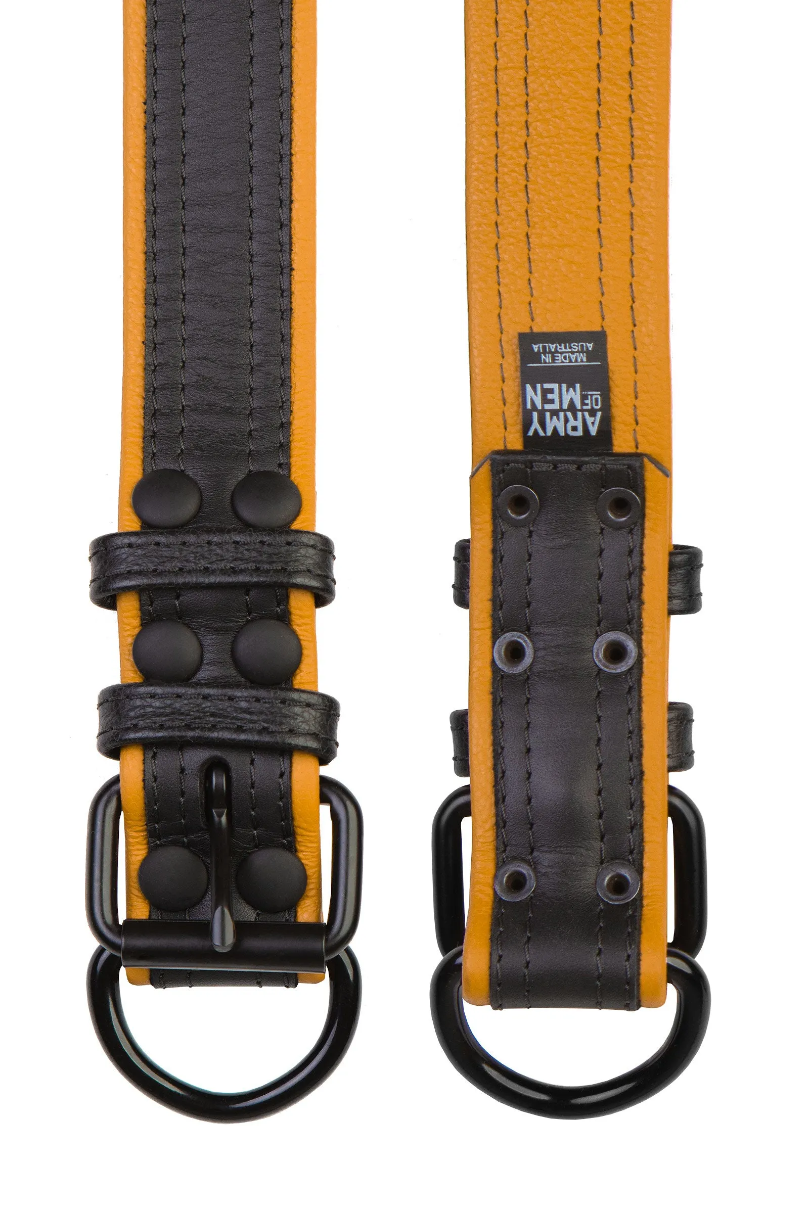 COMBAT PUP COLLAR - Colour