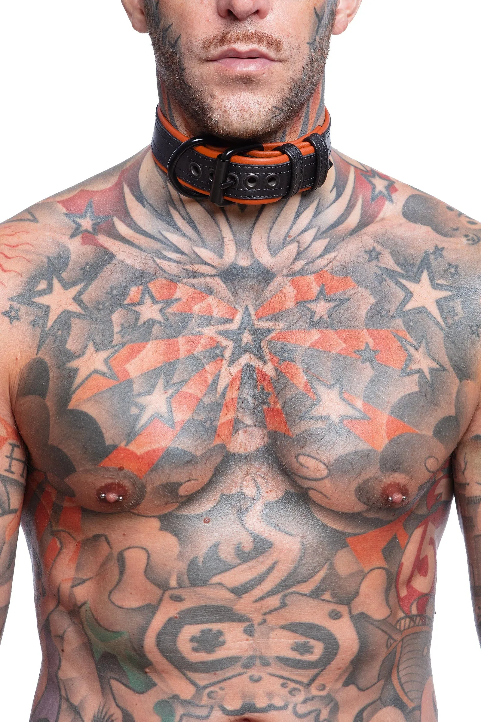 COMBAT PUP COLLAR - Colour