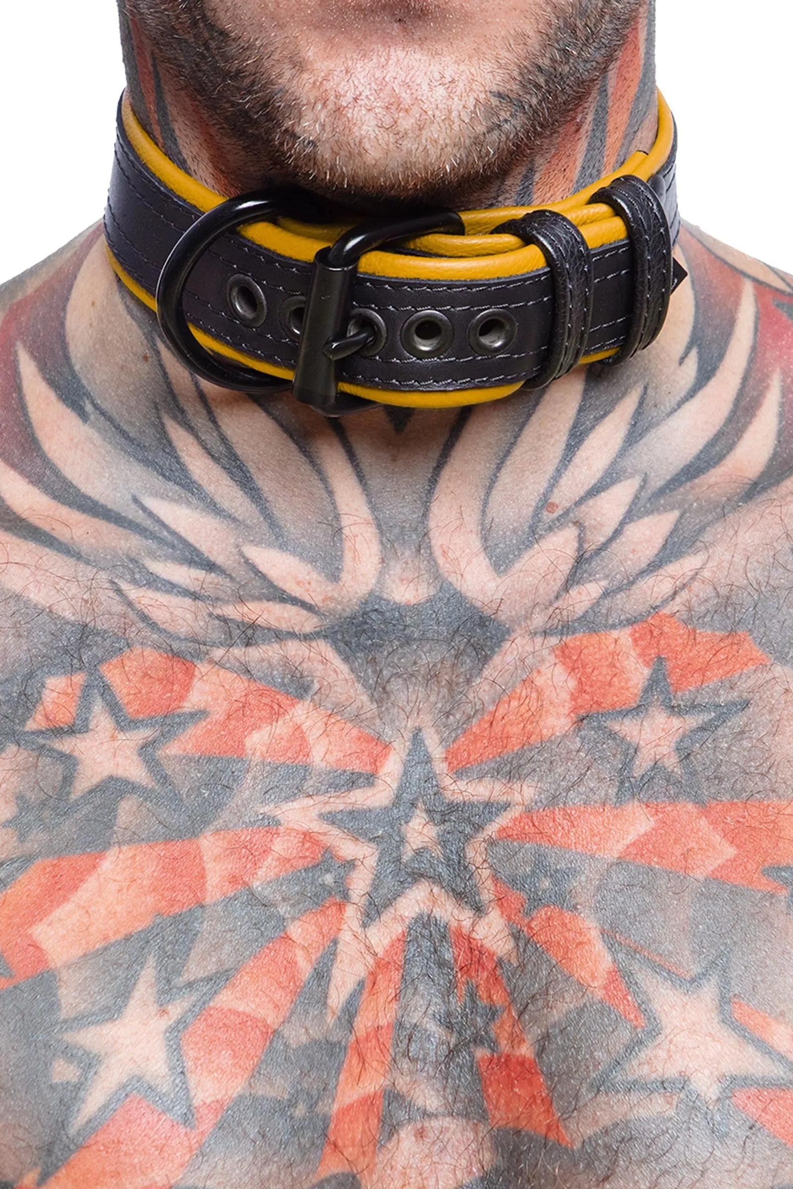 COMBAT PUP COLLAR - Colour
