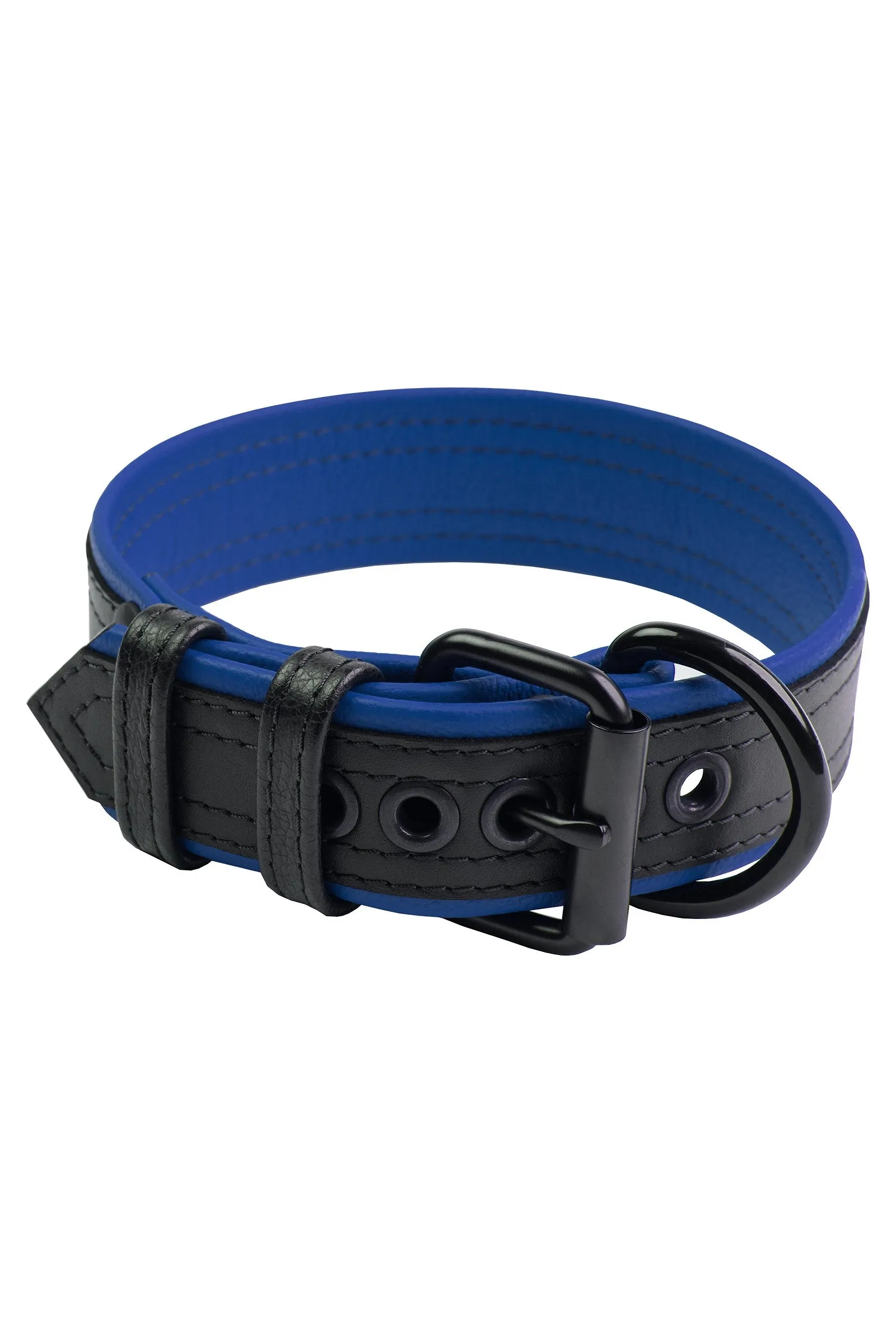 COMBAT PUP COLLAR - Colour