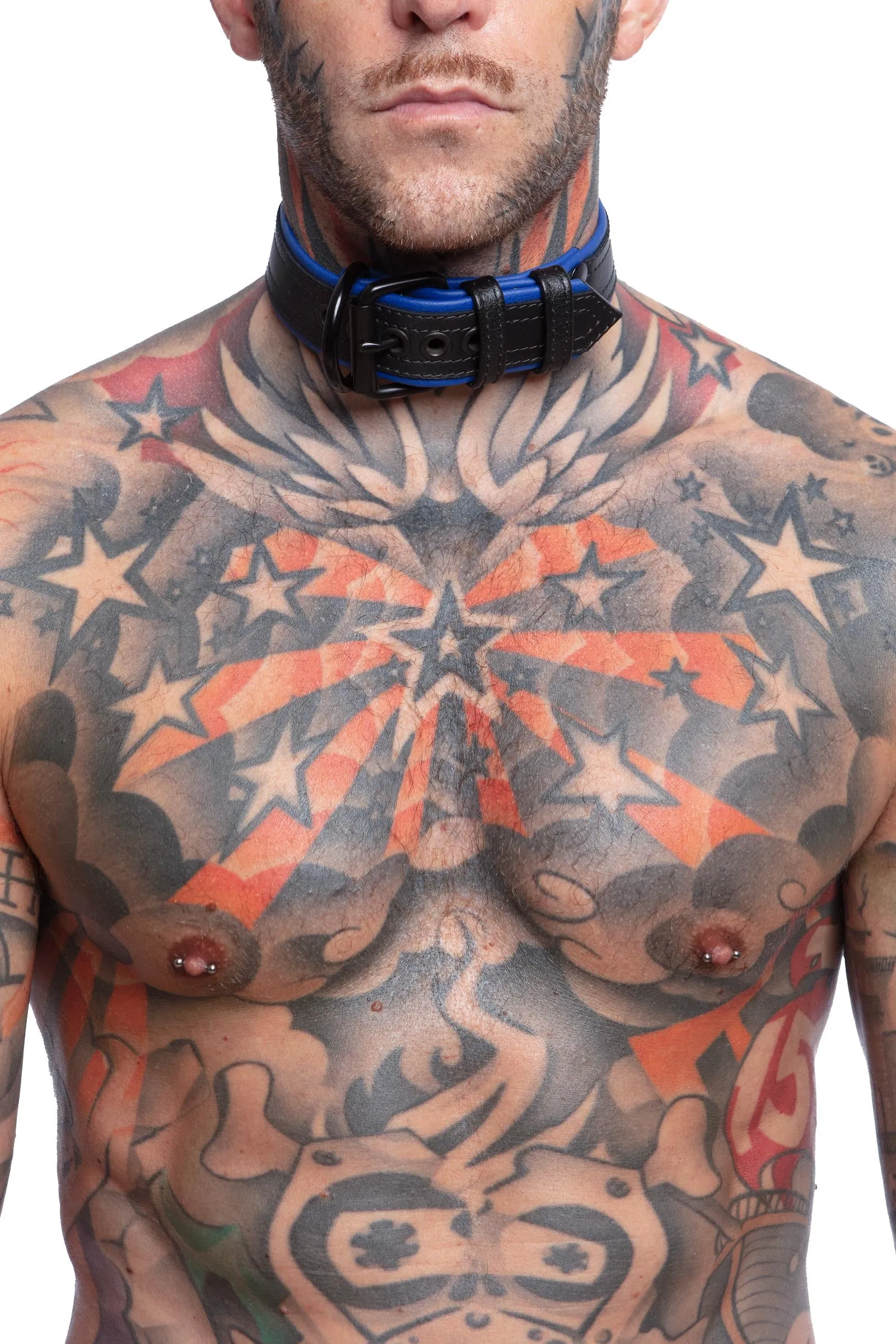 COMBAT PUP COLLAR - Colour