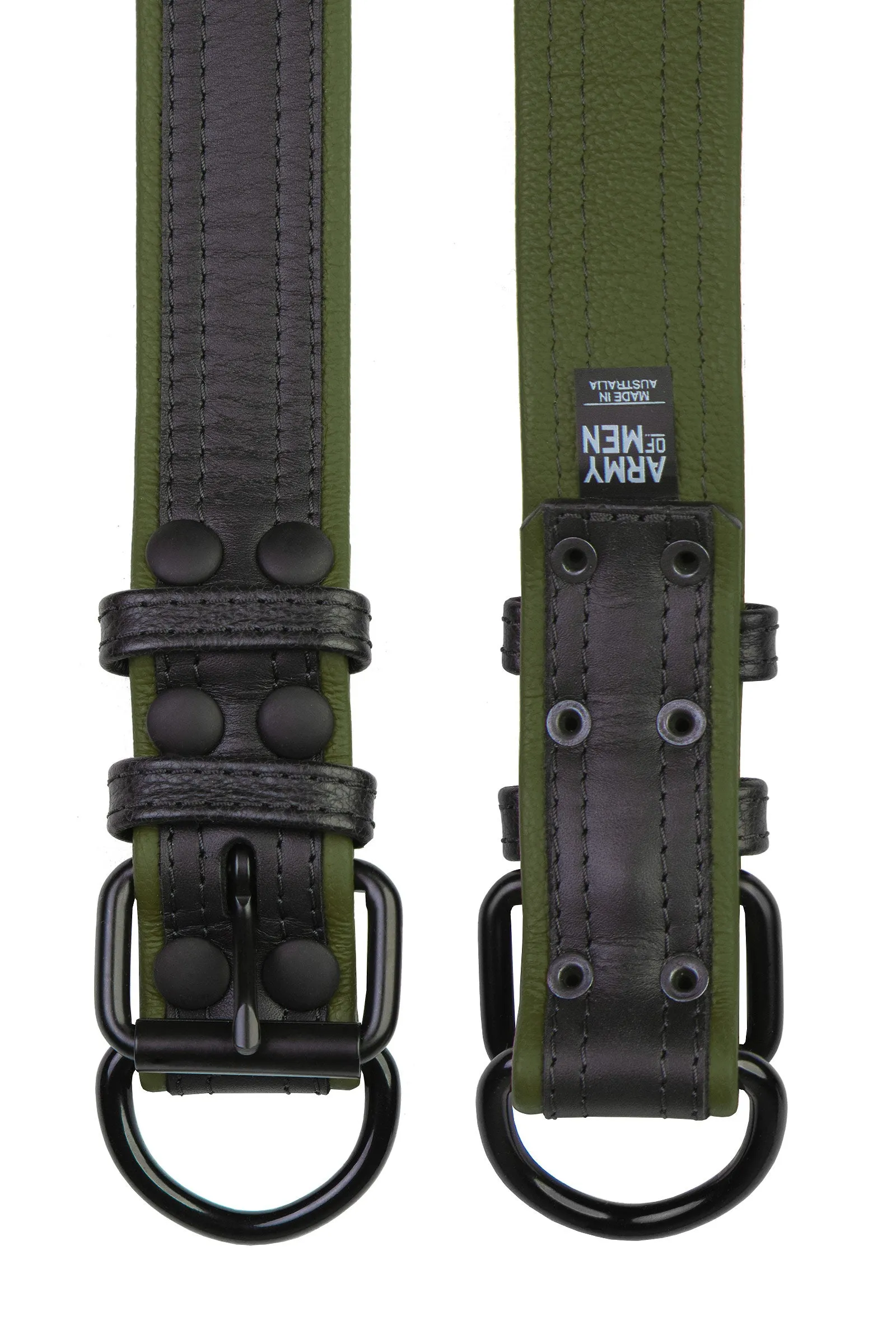 COMBAT PUP COLLAR - Colour
