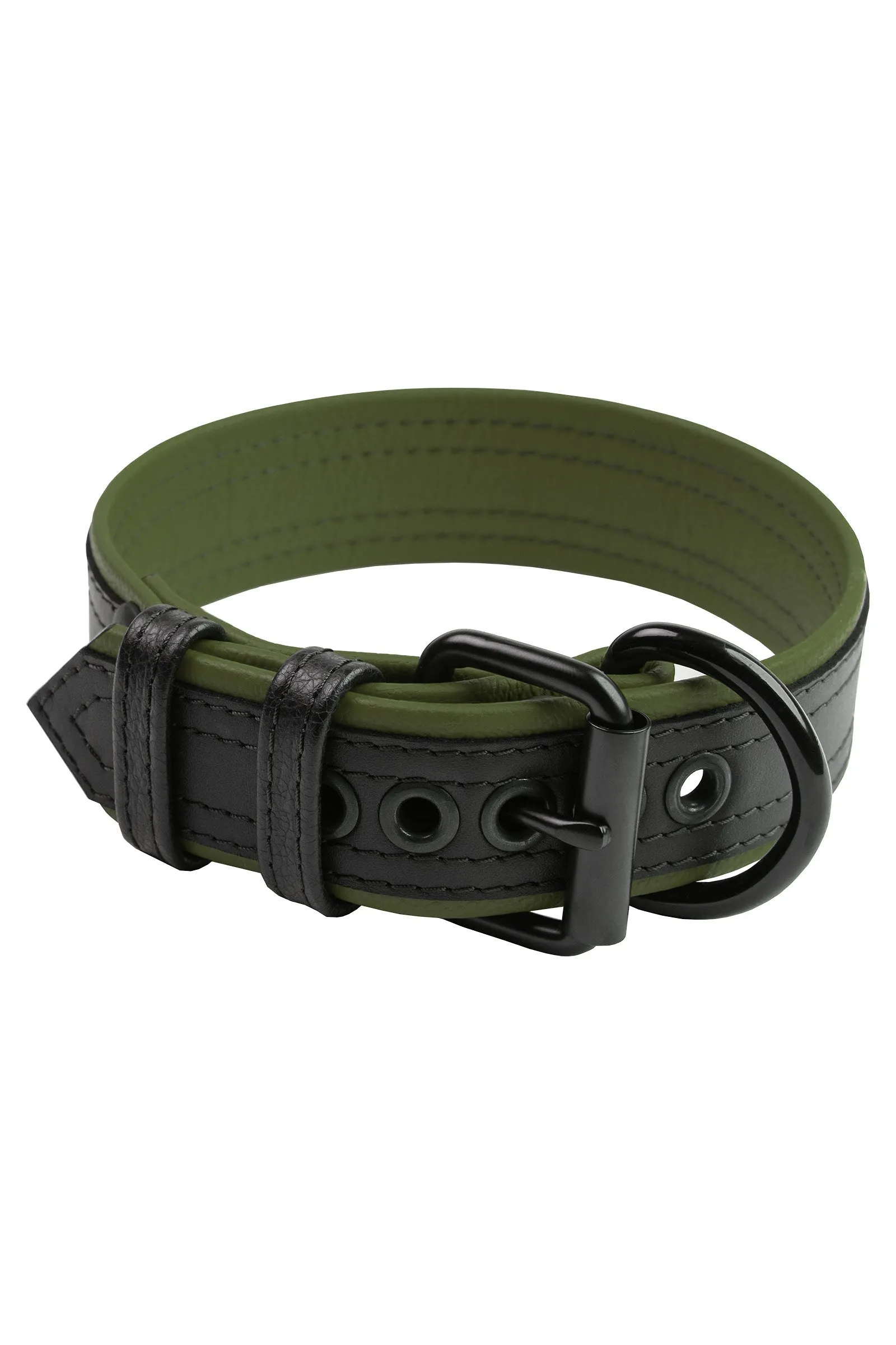 COMBAT PUP COLLAR - Colour