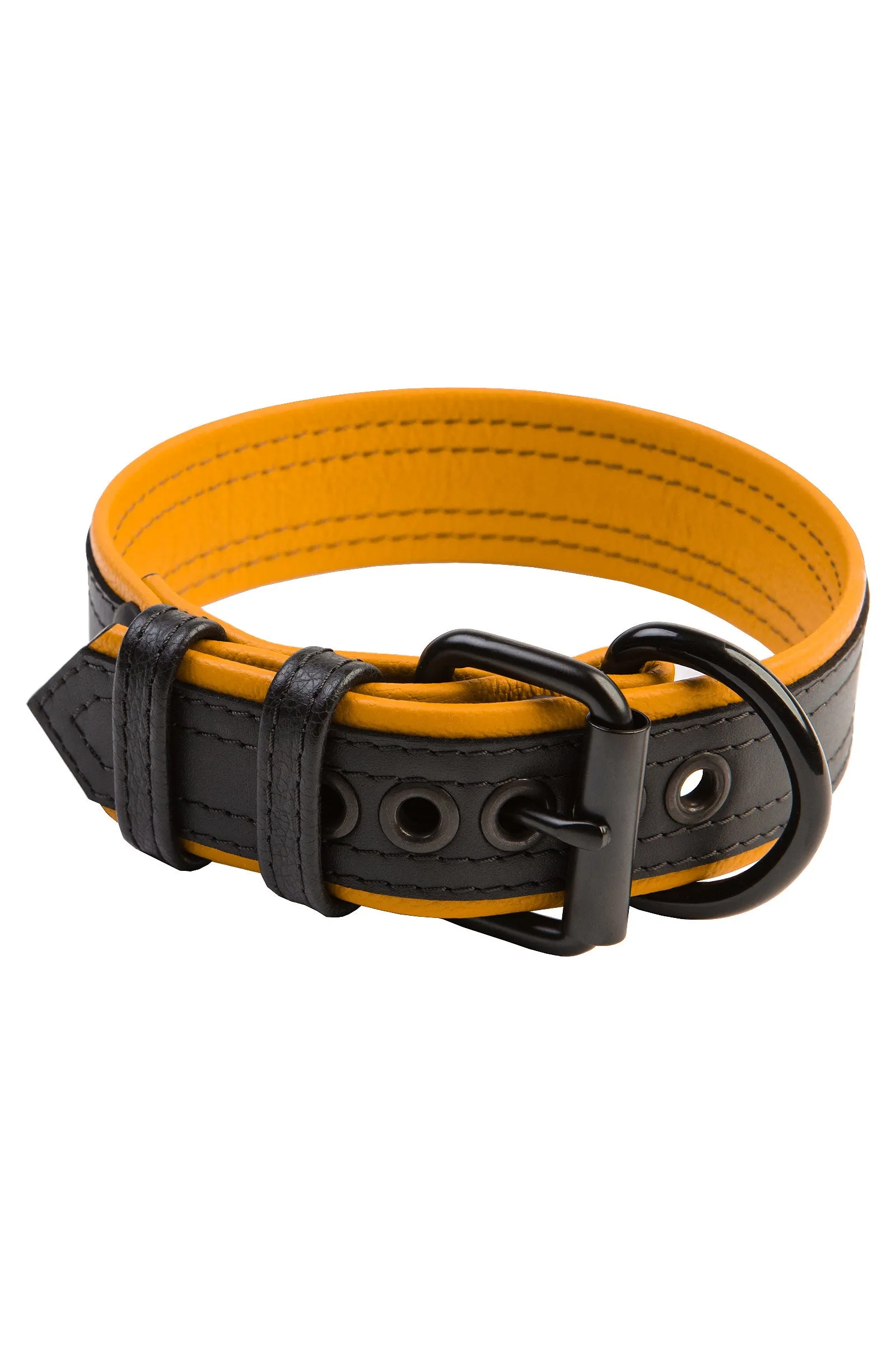 COMBAT PUP COLLAR - Colour