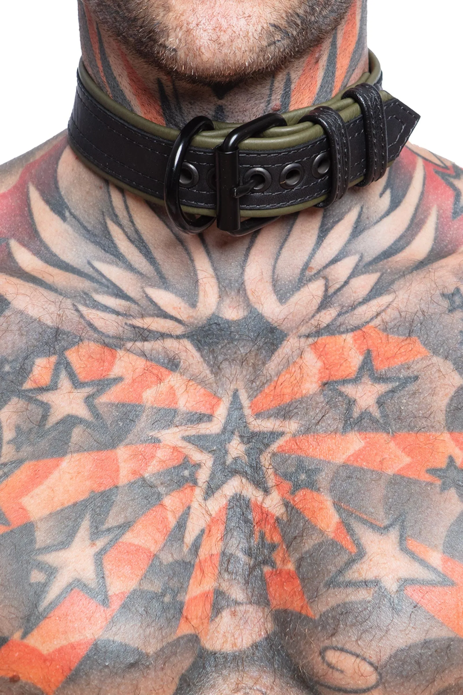 COMBAT PUP COLLAR - Colour