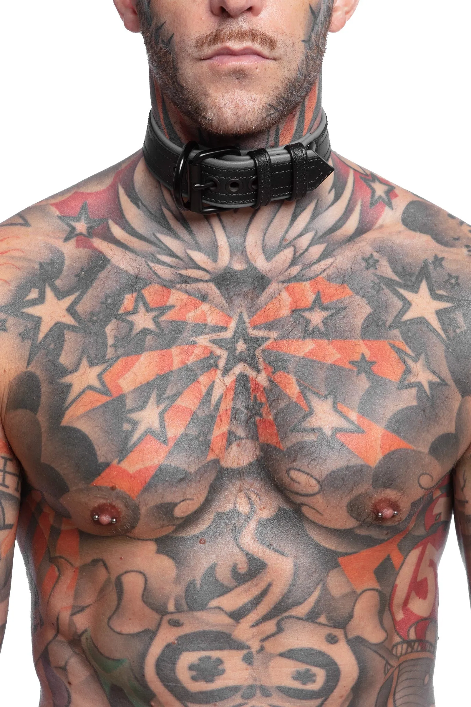 COMBAT PUP COLLAR - Colour
