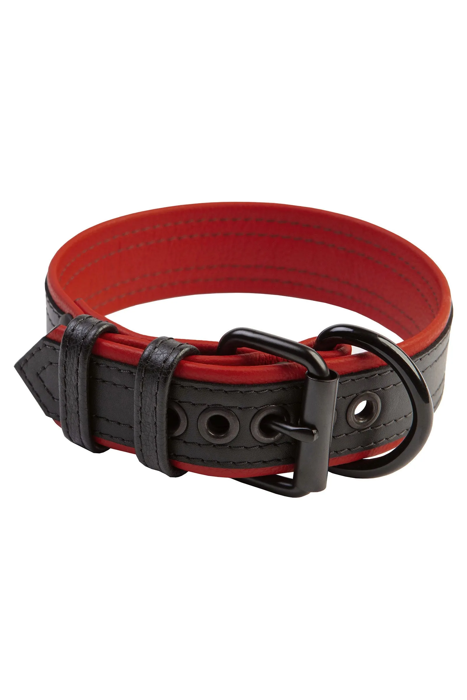 COMBAT PUP COLLAR - Colour