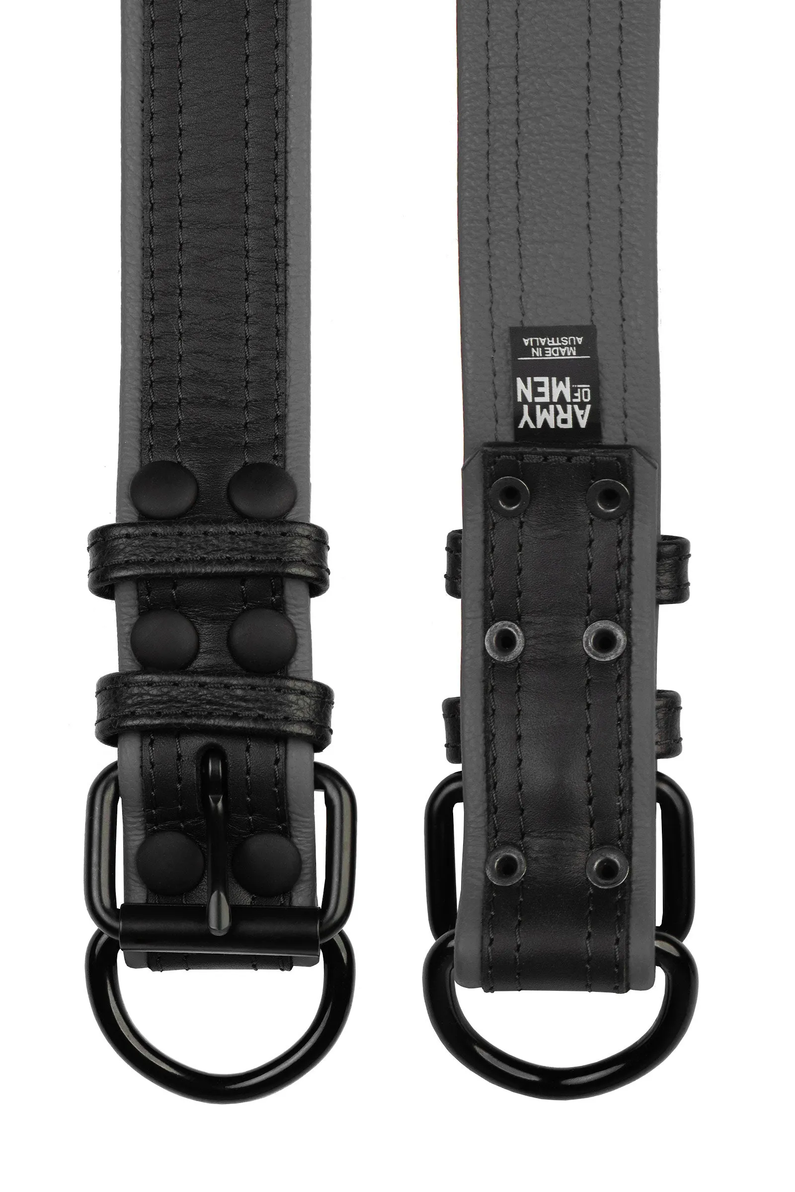 COMBAT PUP COLLAR - Colour