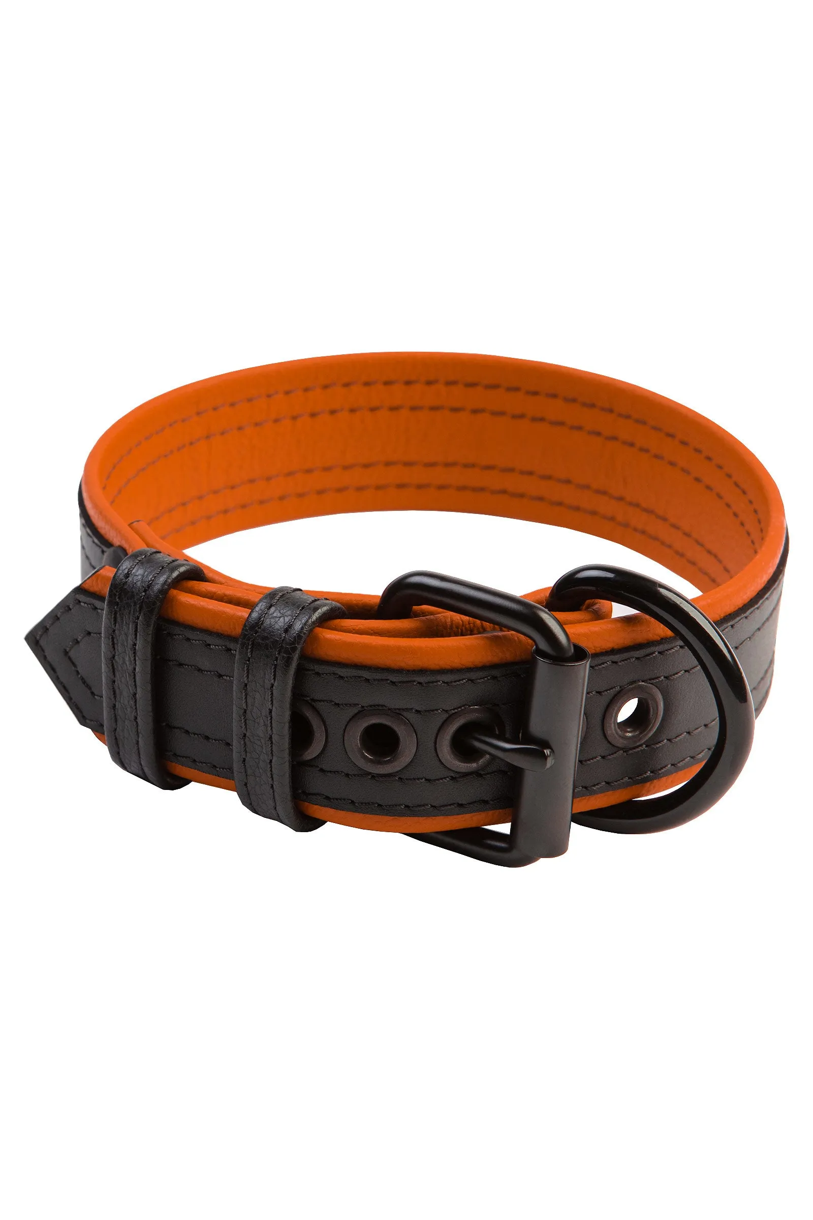 COMBAT PUP COLLAR - Colour