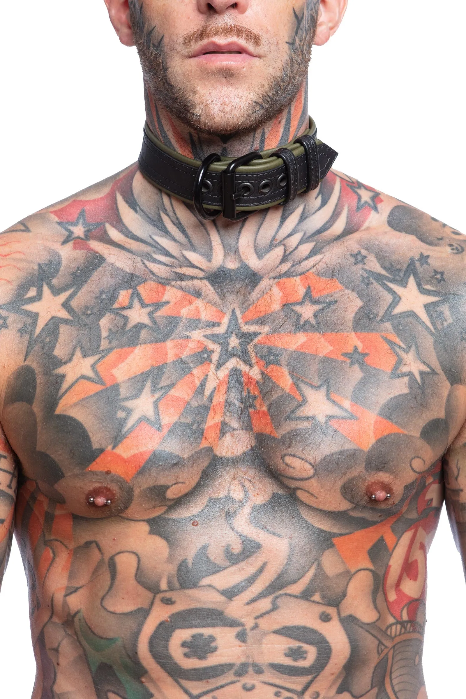 COMBAT PUP COLLAR - Colour