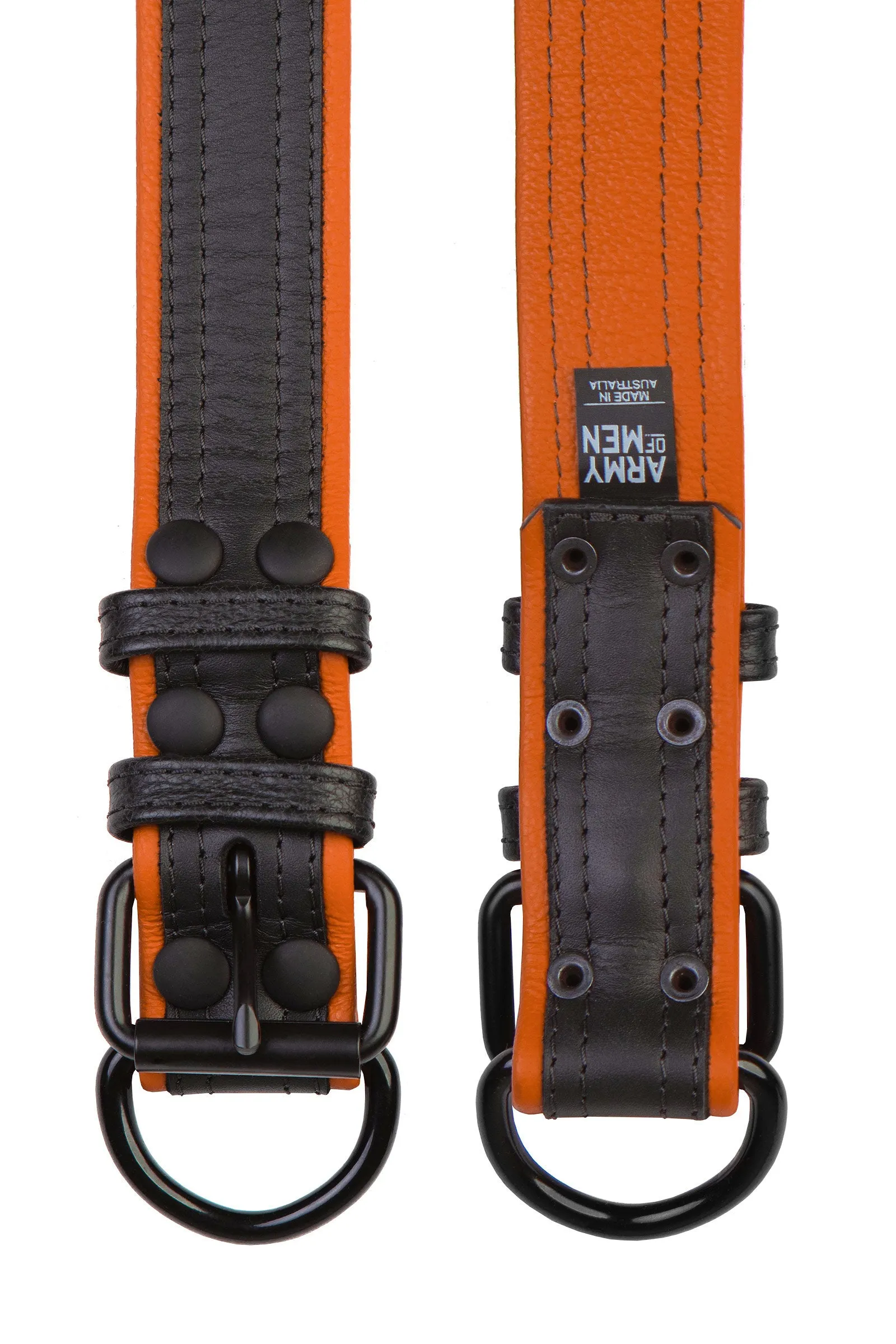 COMBAT PUP COLLAR - Colour