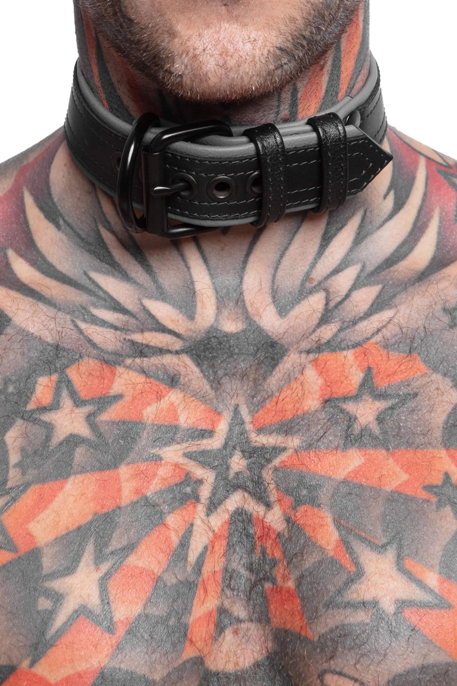 COMBAT PUP COLLAR - Colour