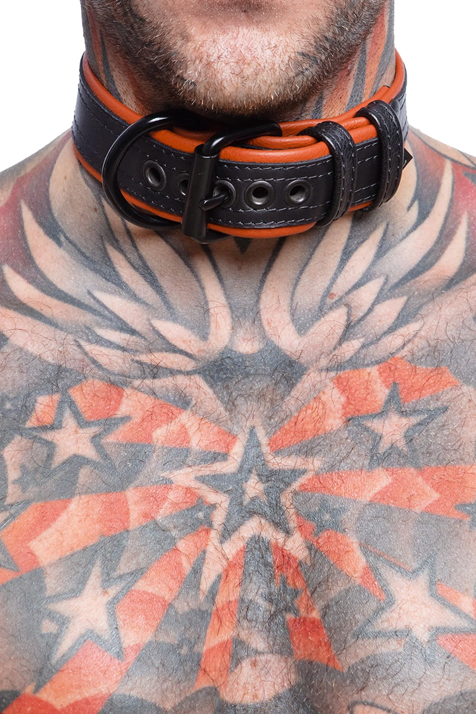 COMBAT PUP COLLAR - Colour
