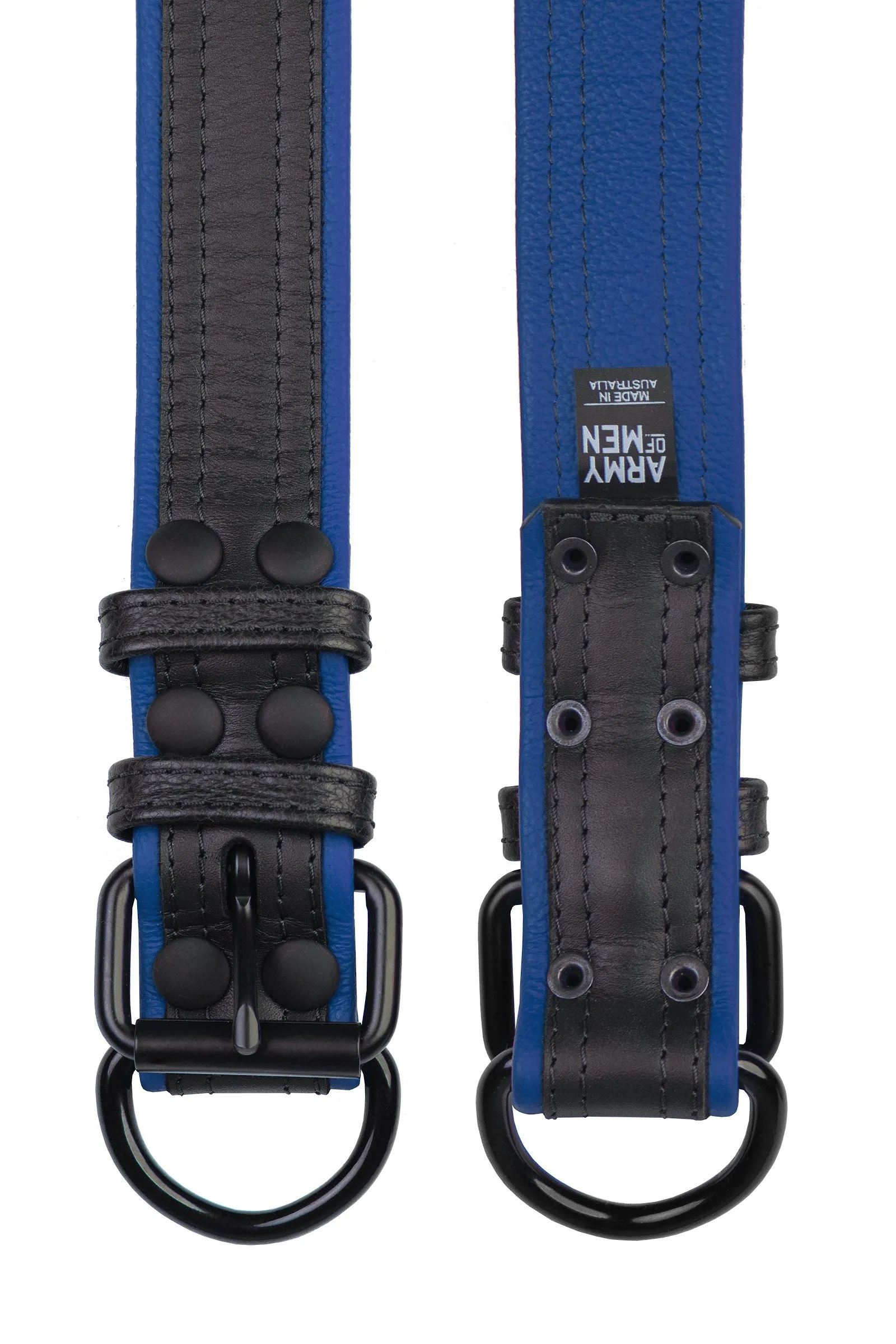COMBAT PUP COLLAR - Colour