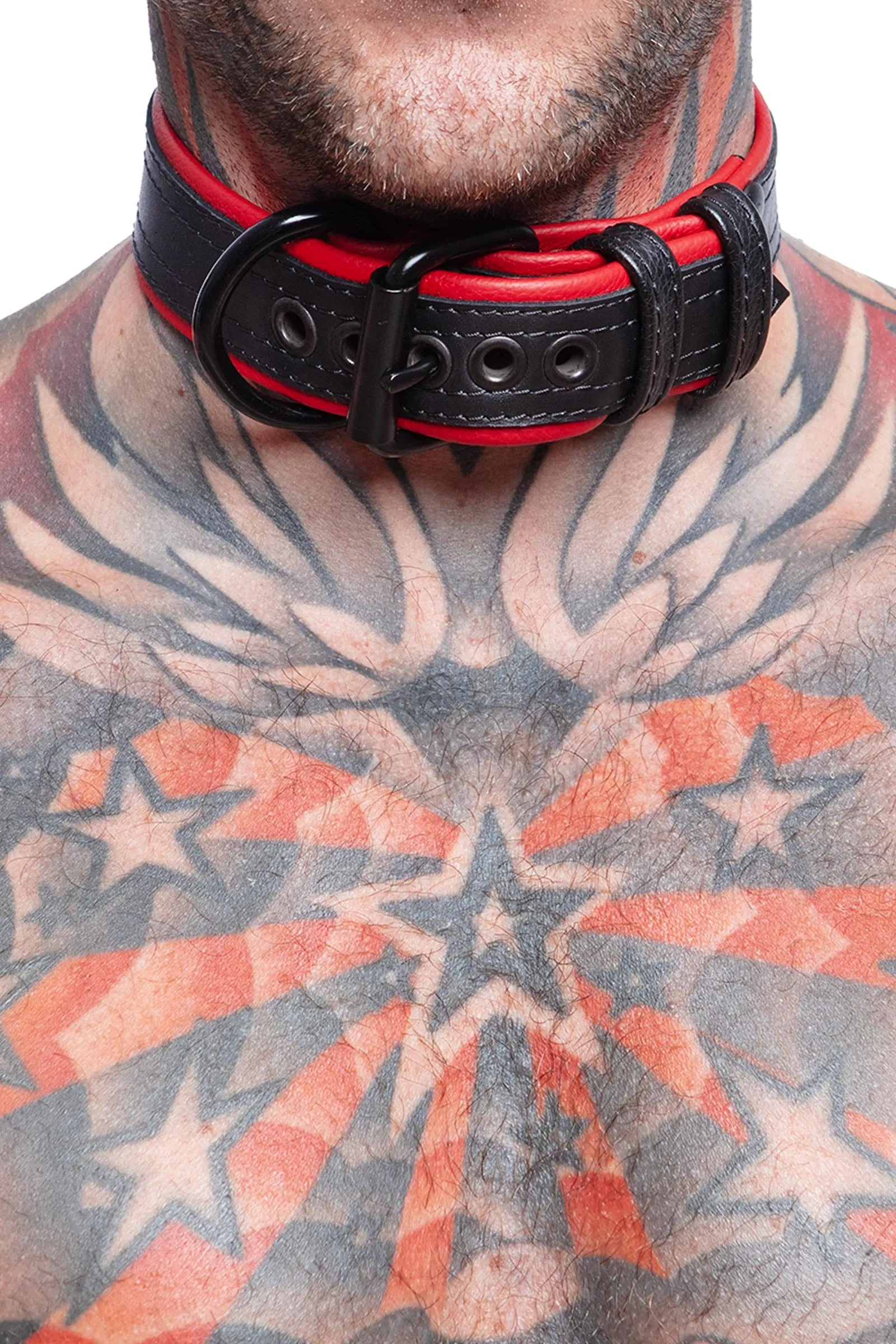 COMBAT PUP COLLAR - Colour