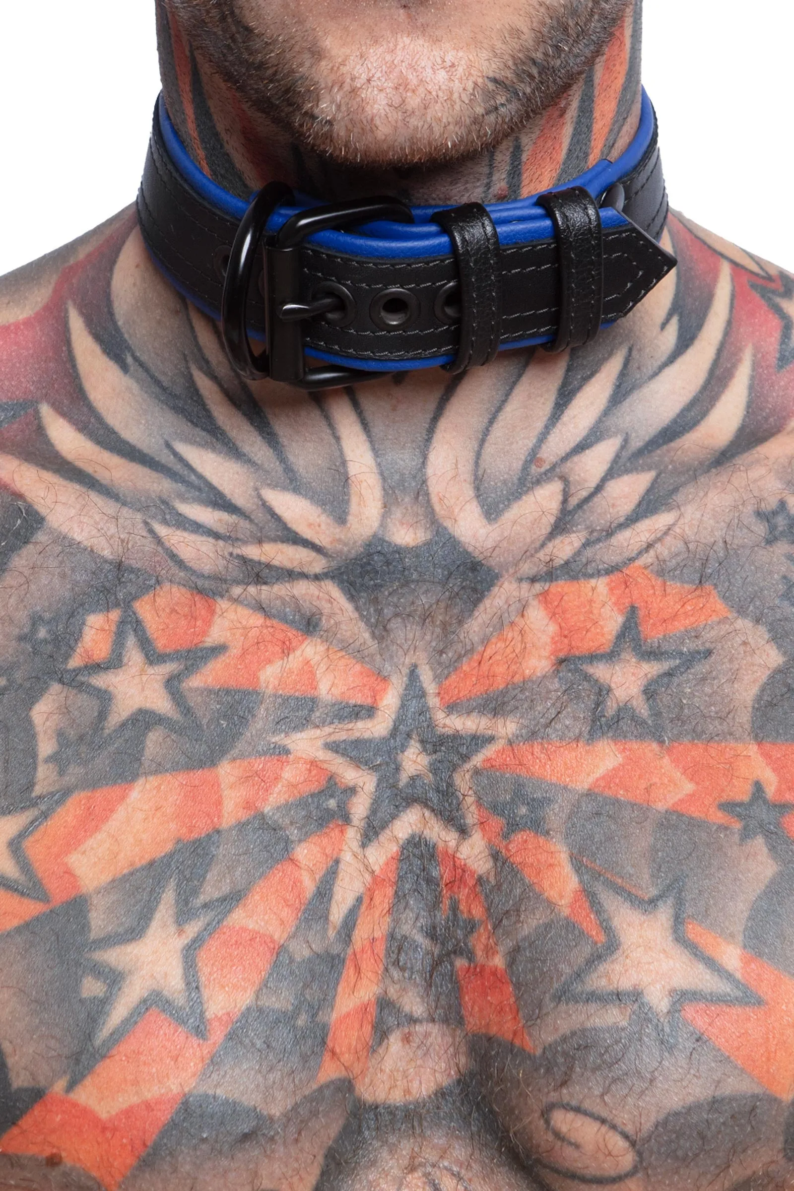 COMBAT PUP COLLAR - Colour