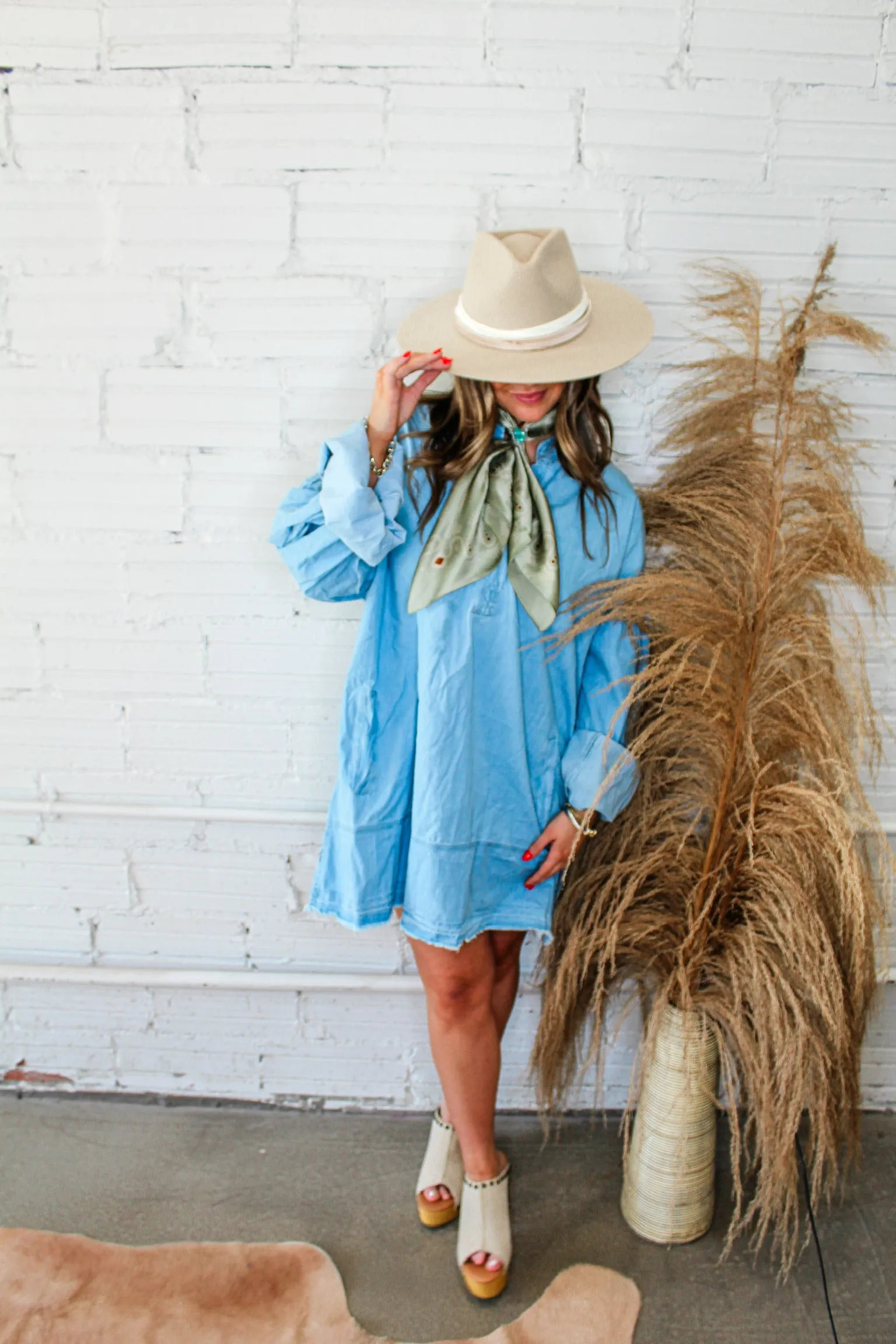 Denim Dan Shirt Dress