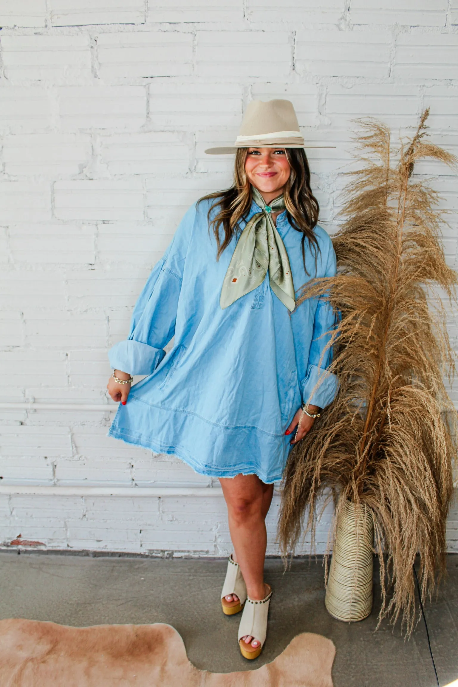 Denim Dan Shirt Dress