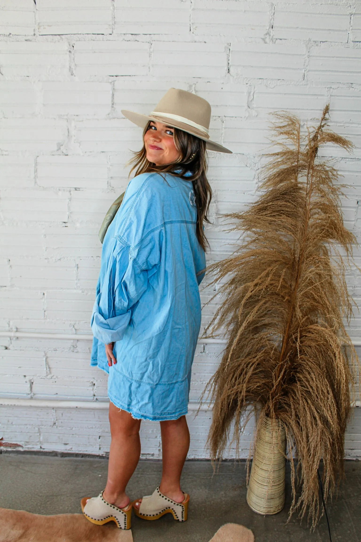 Denim Dan Shirt Dress