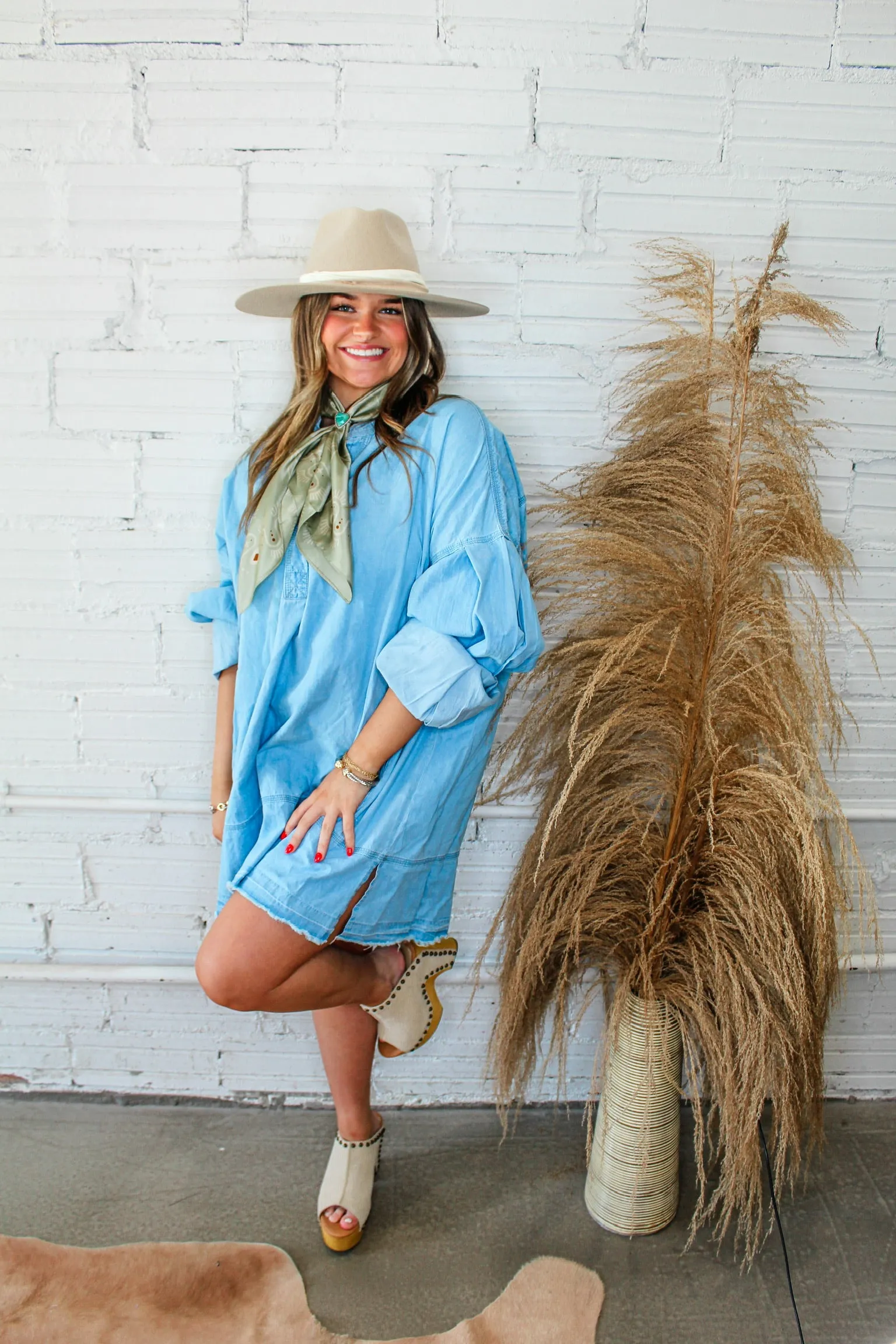 Denim Dan Shirt Dress