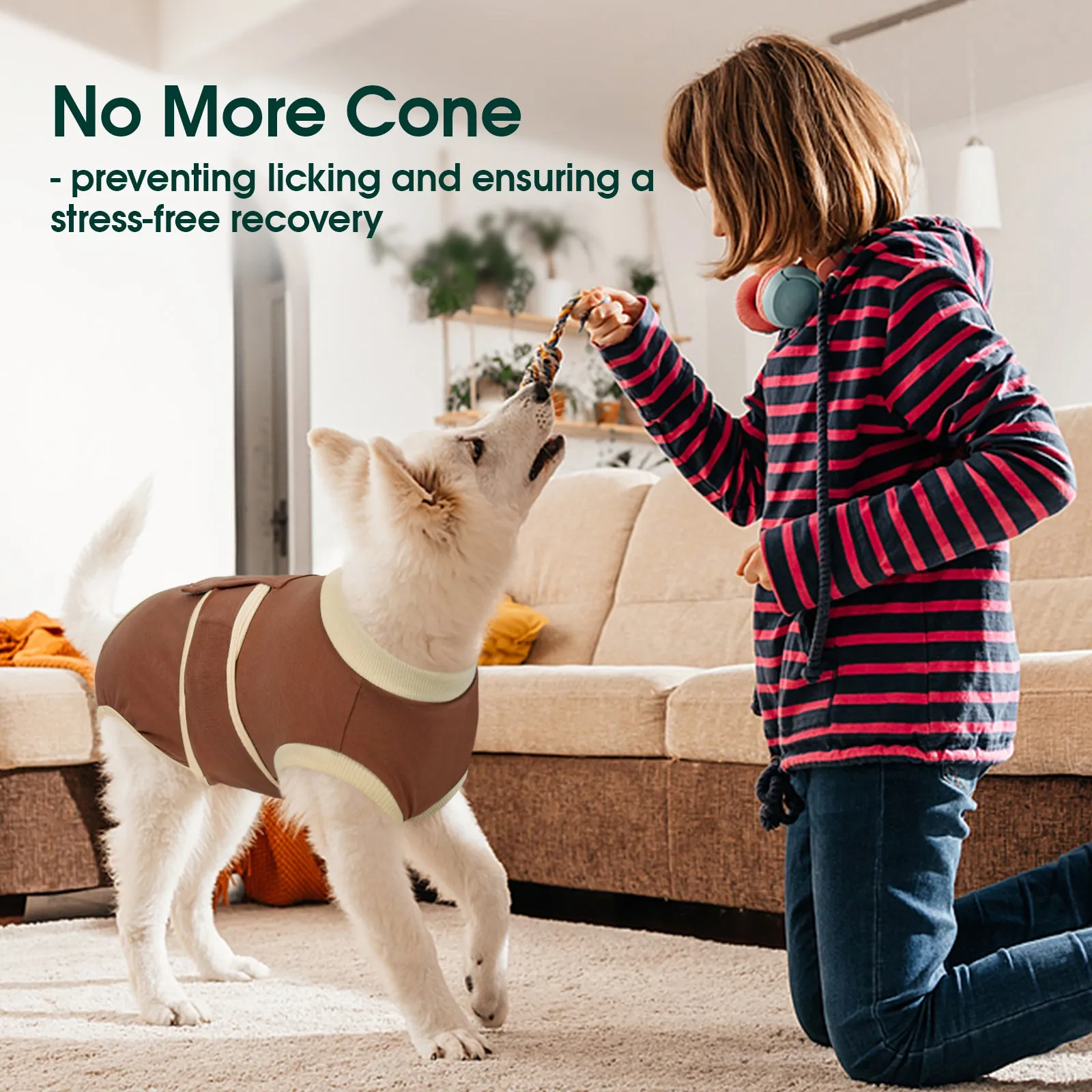Dog Recovery Suit Soft Dog Onesie Dog Surgical Suit